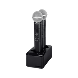 SBC203-E dubbele acculader